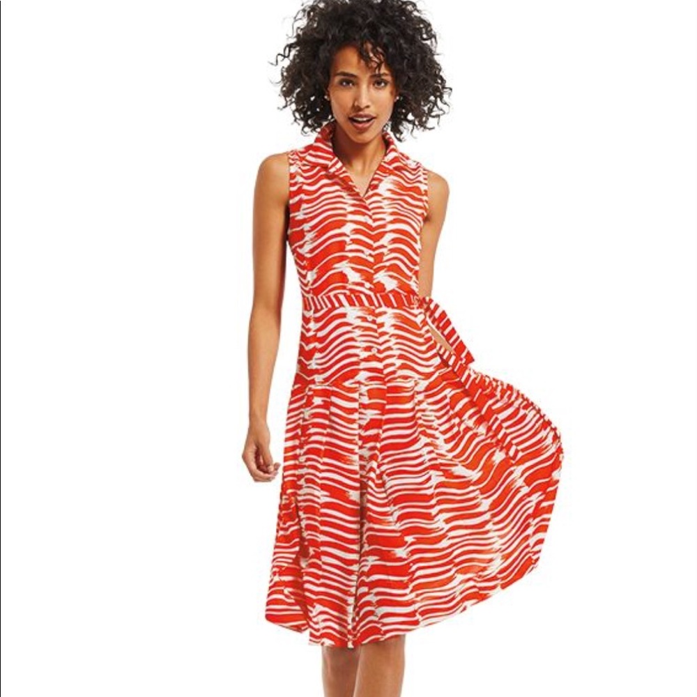 CAbi Brushstroke Print Shirt Dress